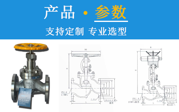 雷力氨专用截止阀