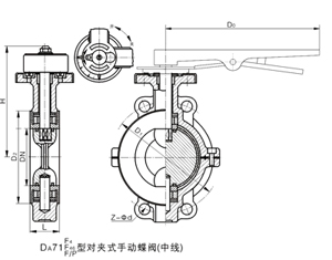 D371F46\PO型全衬氟蝶阀