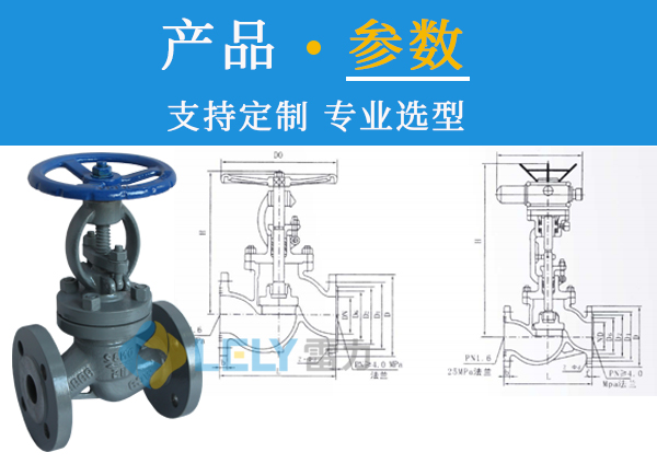 雷力氨专用截止阀