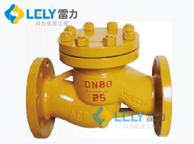 雷力氨用止回阀.jpg