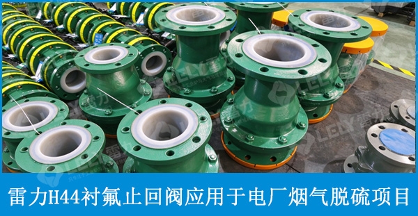 雷力H44衬氟止回阀应用于电厂烟气脱硫项目.jpg
